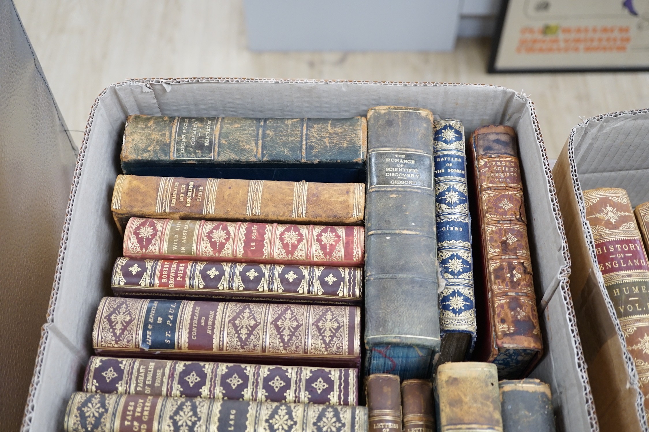 Prize Bindings, 8 vols, gilt calf bindings (for Geology GS. / Victoria School, Geelong), with gilt / marbled edges and prize labels; including Le Souef's Wild Life in Australia (Christchurch etc.NZ., nd)